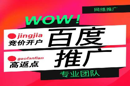 百度广告推广策略及成功案例解析